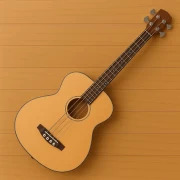 Bajos Acústicos (2)