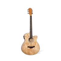 Guitarra Electracústica Cutaway QAG-4061 Blast
