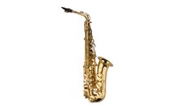 Saxo Alto con case
