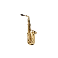 Saxo Alto con case