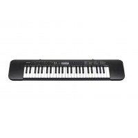 Teclado Casio Standard 49 Teclas CTK-240