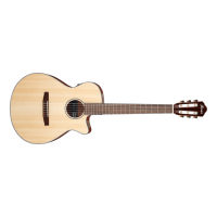 Guitarra Electro Acústica cuerda de nylon Ibanez AEG50N NT