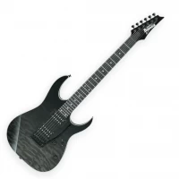 Guitarra Eléctrica Ibanez Black Gradation GRG120QASP BK