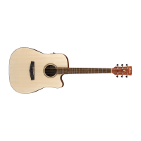 Guitarra Electro Acústica Cuerdas Metalicas Ibanez PF10CE OPN